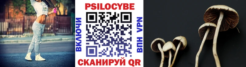 Псилоцибиновые грибы Cubensis Краснокаменск